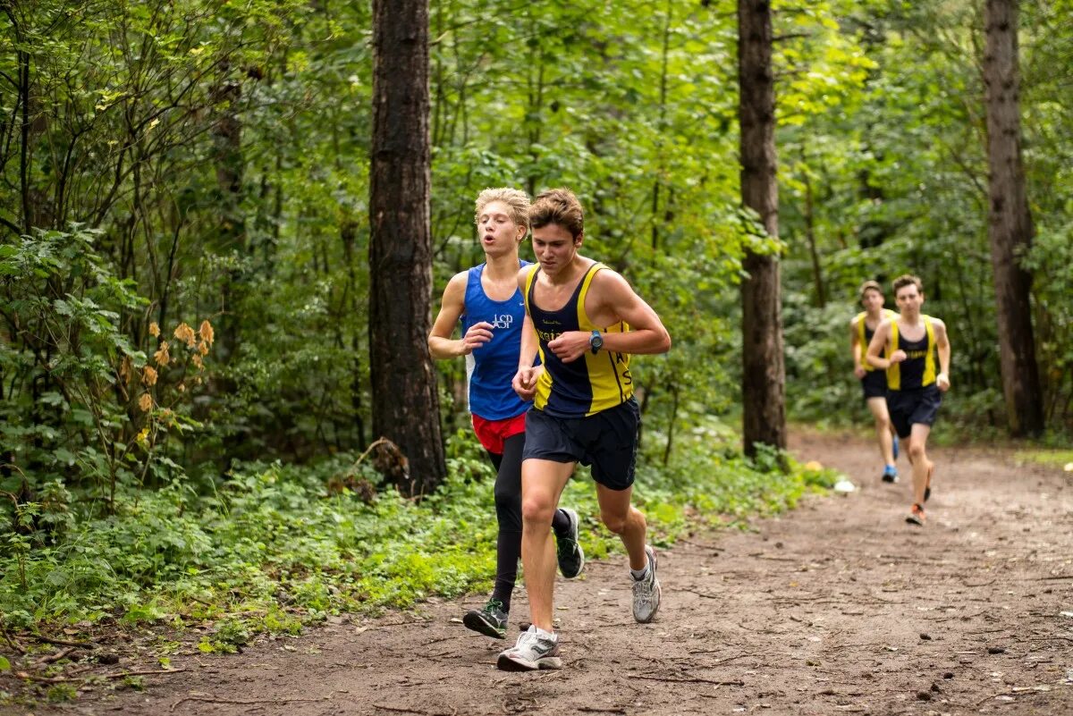Движение по пересеченной местности. Альпийский бег. Тренажер бег трусцой. Движение по пересеченной местности. Движение по пересеченной местности.