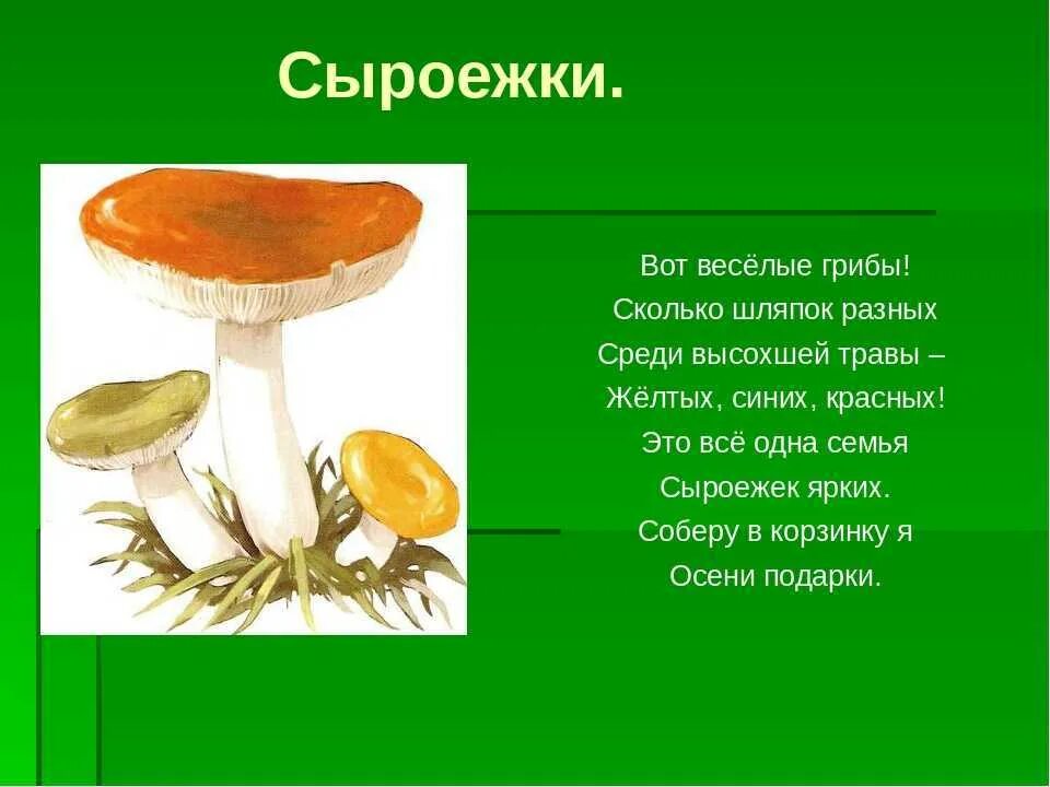 Презентация грибы для дошкольников. Про грибы детям в детском саду. Грибы презентация для детей. Презентация по грибам. Загадка про гриб сыроежка.