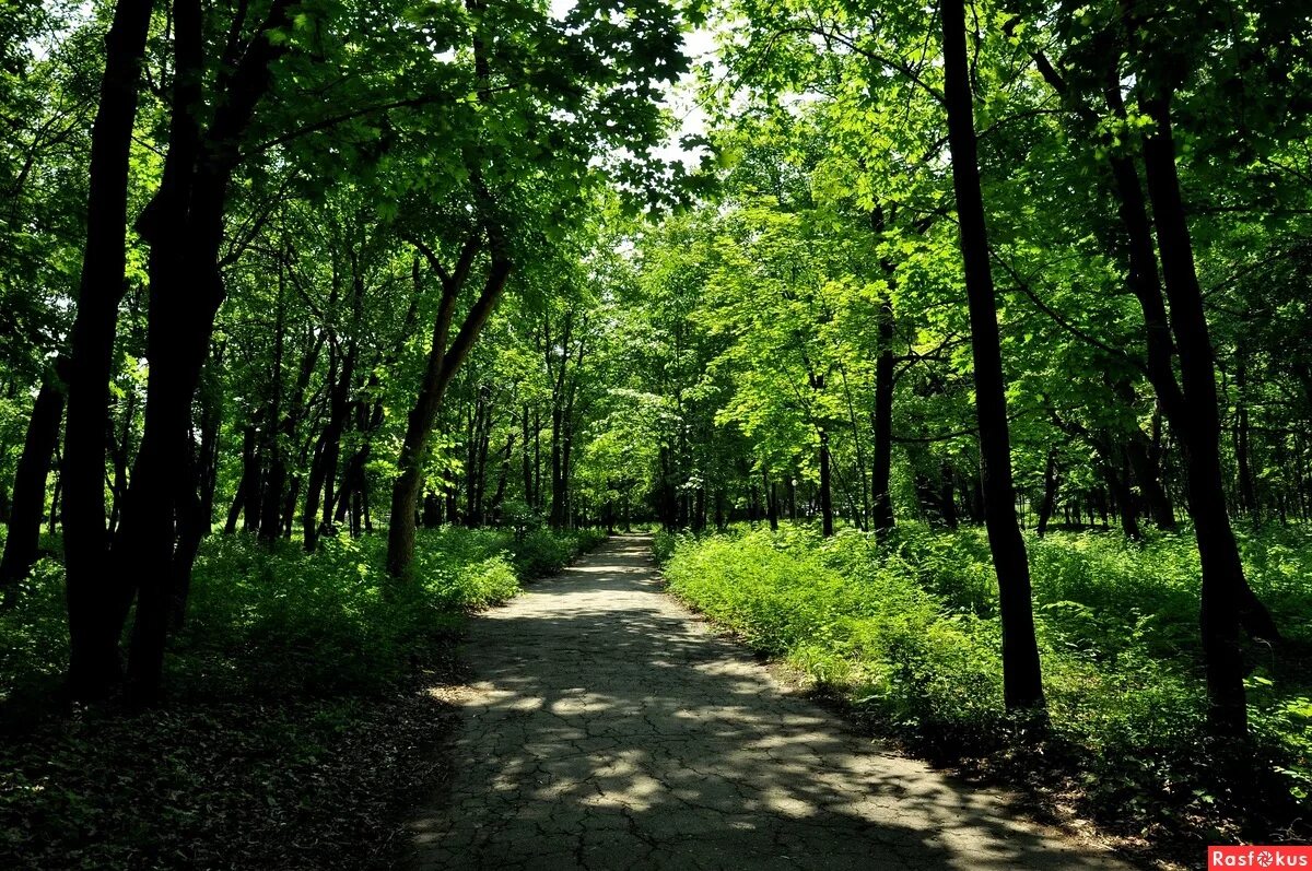 Сайт загородного парка. Самара загородный парк Самара. Загородный парк Самара лето. Загородный парк Самара 2022. Лесопарк Самара.