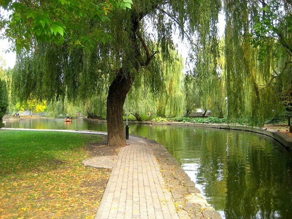 Германская деревня в краснодаре. Улица новинки 1. Парк горького краснодар пруд. Площадка перед домом. Краснодарский край,станица кущёвская, улица энгельса дом 93.