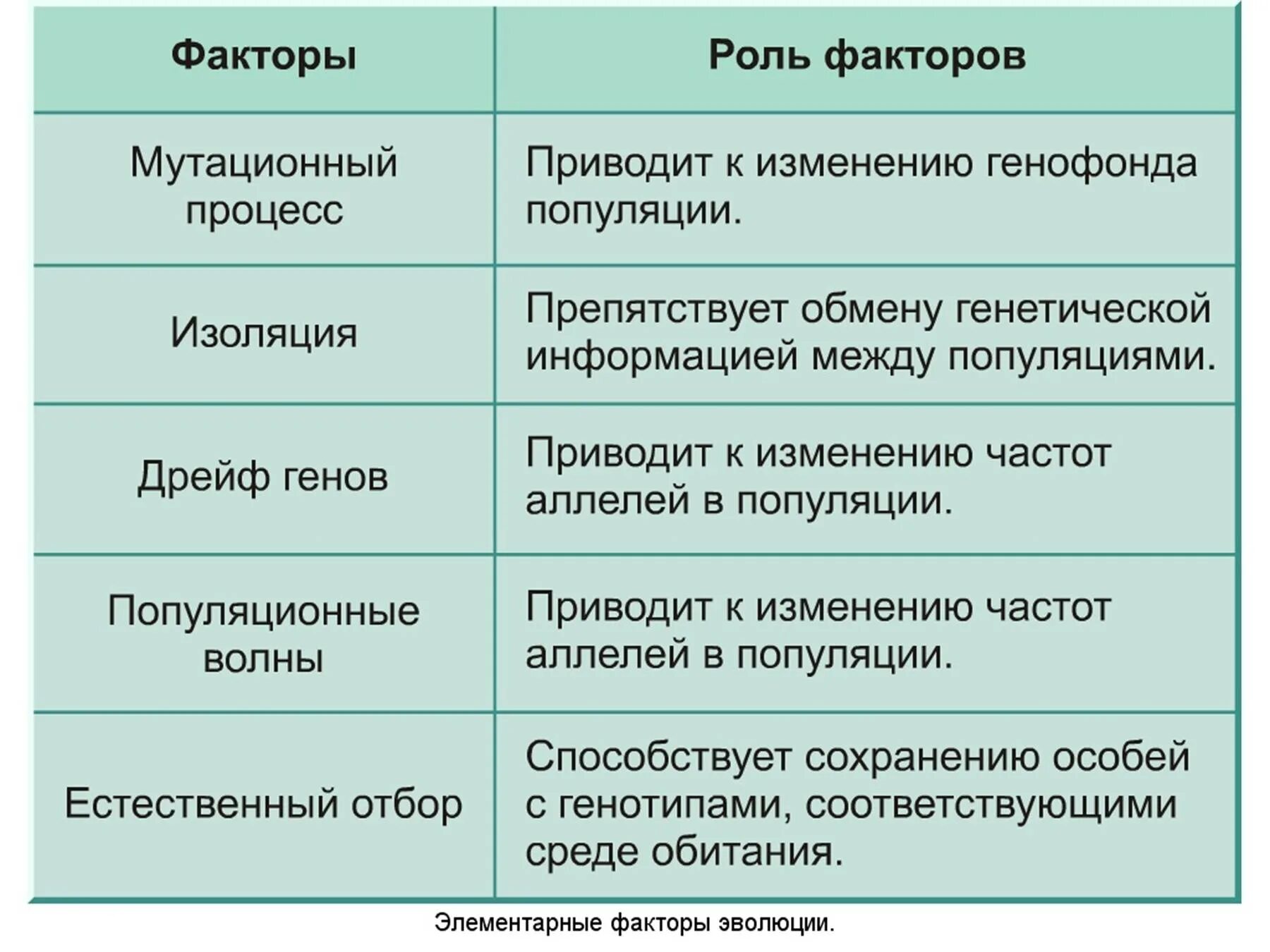 Мутационный процесс результат. Элементарные факторы эволюции таблица характеристика. Факторы эволюции. Элементарные эволюционные факторы. Основные факторы эволюции.