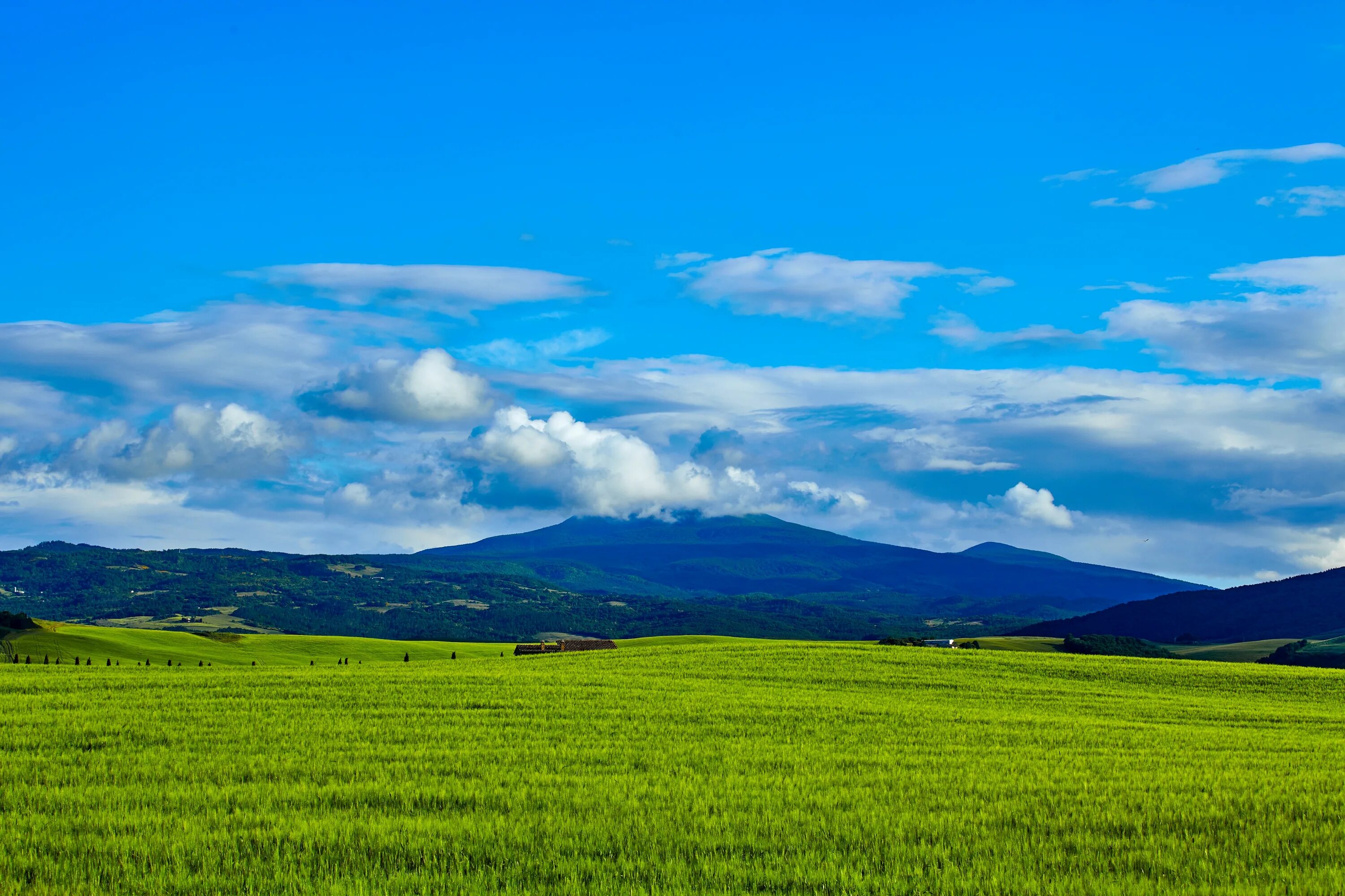 Fields area. Поле горы. Равнина. Горы и равнины. Пейзаж холмы.