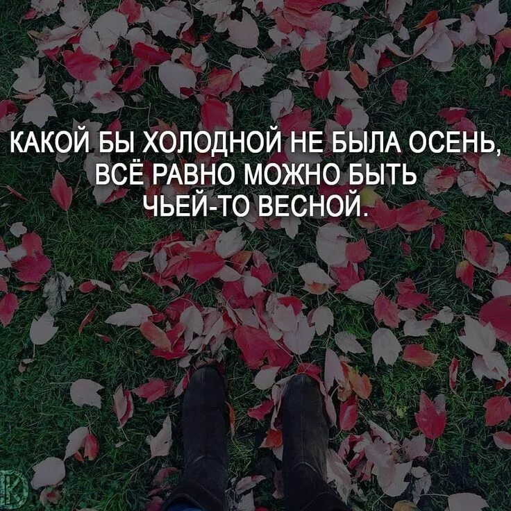 Цветы осенью цитаты. Цитаты про осень и любовь. цитаты про осень для инстаграмма. цитаты про счастье осенью. про осень цитаты для инстаграм.