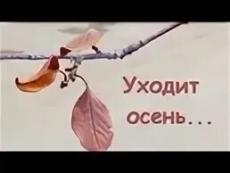 Стихотворение я ухожу в осеннюю аллею