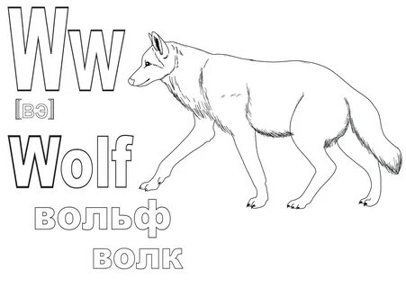 Волк перевод на русский язык