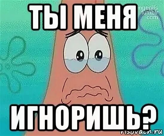 Ватсап игнор. Ты меня игноришь. игноришь мем. ты меня игнорируешь. не игнорь меня.
