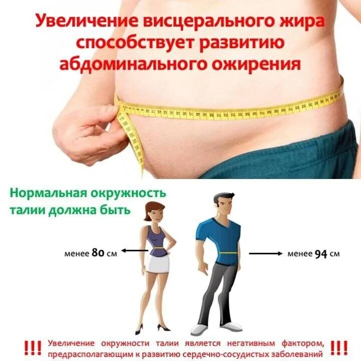 Изменения в организме после 40. Ожирение. Лишний вес. Лишний вес и ожирение.