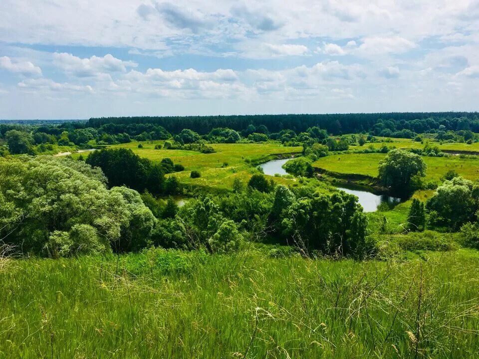 Доброе курская область