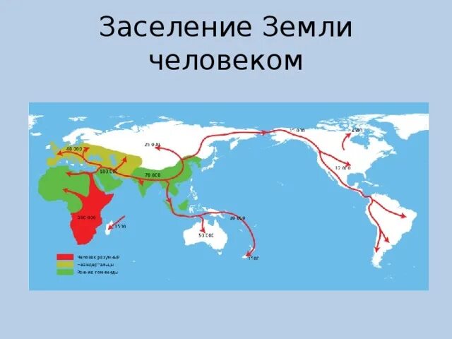 Основание земли человека. Карта заселения земли человеком. Заселение земли человеком. Схема расселения человека. Как люди засеили землю.