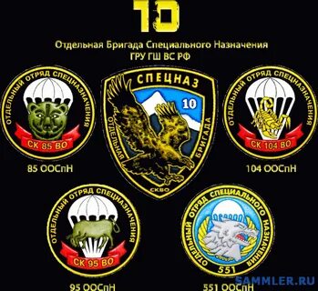 Отдельная специализированная рота