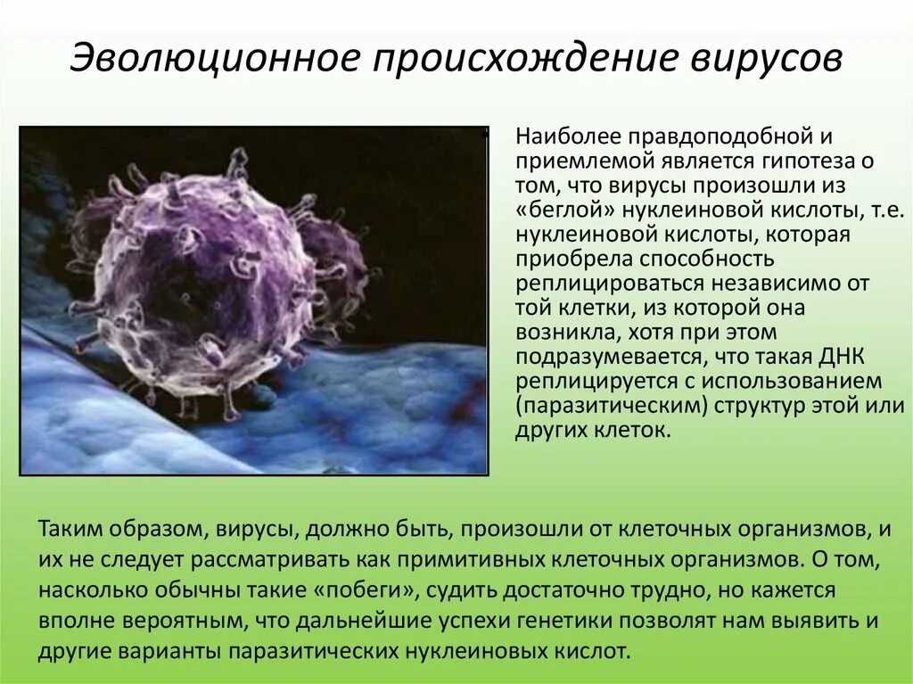 Вирус является формой жизни. Вирусы Эволюция происхождение. Гипотезы происхождения вирусов. Происхождение вирусов биология. Появление вирусов.