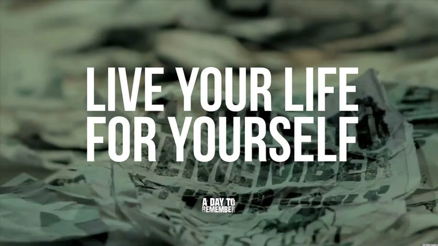 A day to remember common courtesy обложка. A day to remember обложки альбомов. I remember one day. A day to remember sometimes. A day to remember рисунок.