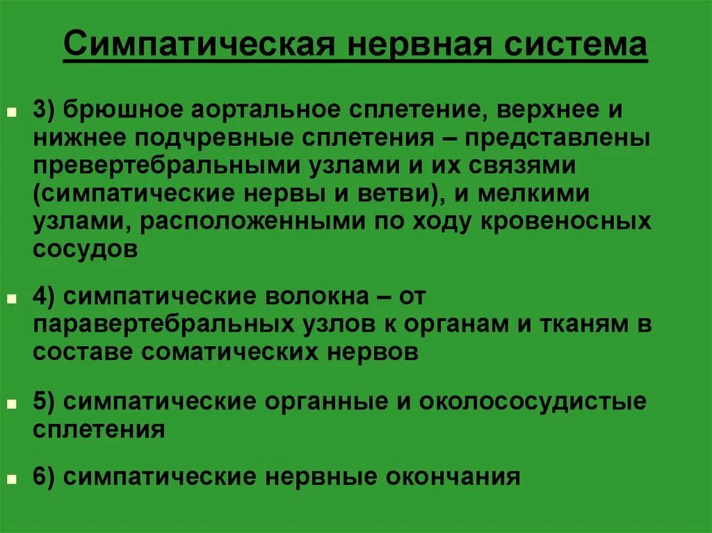 Строение и функции симпатического отдела. Симпатическая нервная система. Симпатическая нервная сис. Симпатитеческая нернаясистема. Симпатическая нерв систе.