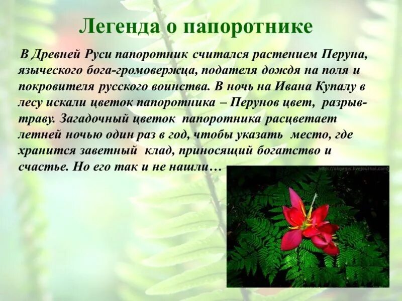 Поверье трав