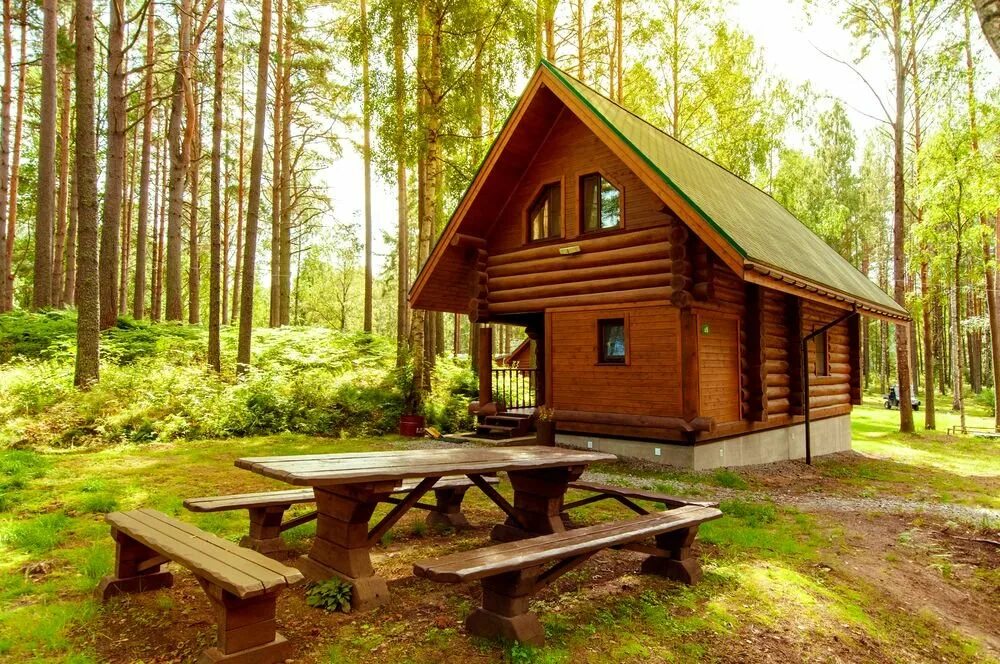 турбазы горного алтая. современный дом из сруба. кедровка домики новокузнецк. строительство домов отдыха. строительство домов отдыха.