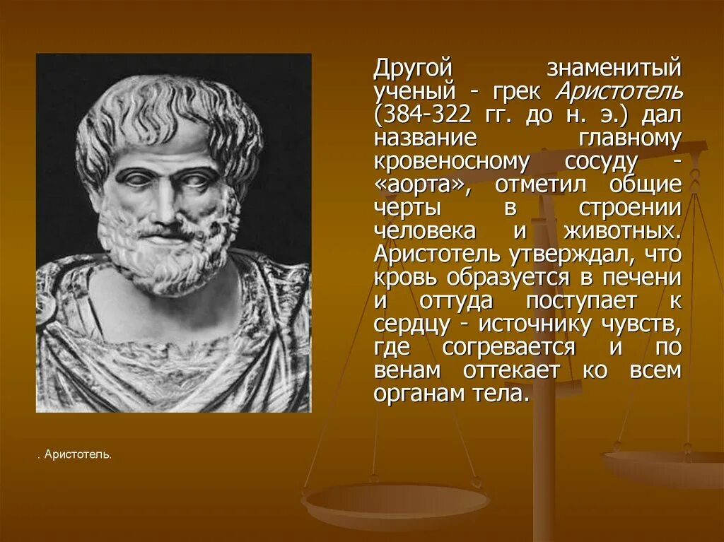 Что дали называл главным. Аристотель ученый. Известные ученый Аристотель. Аристотель утверждал что. Аристотель портрет.