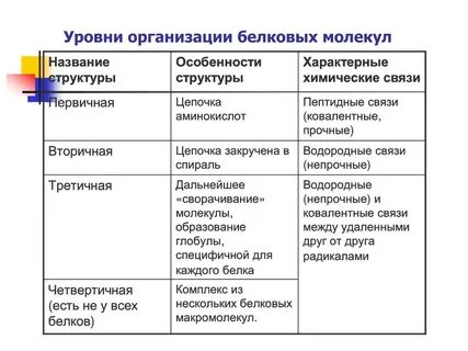 Уровни структурной организации молекулы белка