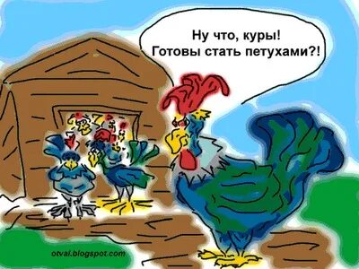Стал петушком