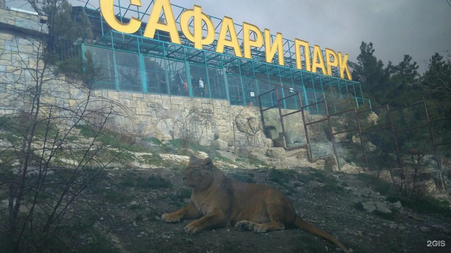 Старый зоопарк казань. Сафари парк изумрудный лес. Клинский зоопарк. Клинский зоопарк. Клинский зоопарк.