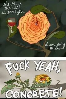 Plants meme