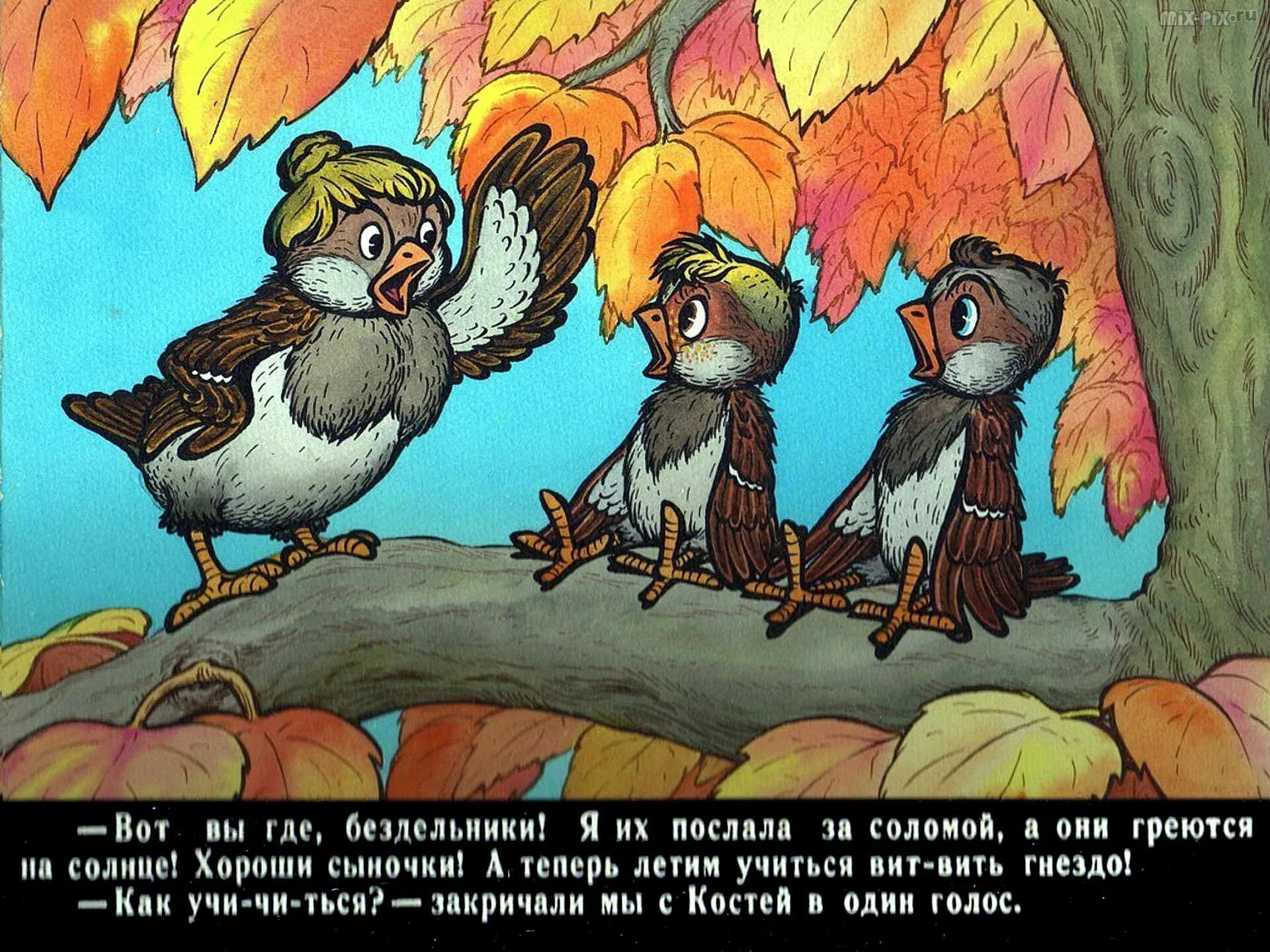 Повесть будь человеком. Медведев в. "Баранкин, будь человеком!". Баранкин будь человеком иллюстрации. Иллюстрация к сказке Баранкин будь человеком. Медведев Баранкин будь человеком мультфильм.