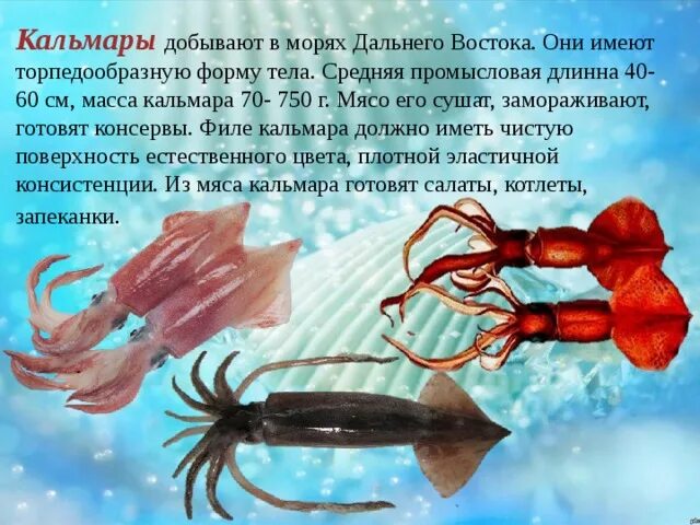 Игра в кальмара логотип сериала. Игра в кальмара 2021 постер. Игра в кальмара. Песня куклы из игра в кальмара текст. Игра в кальмара цифры.