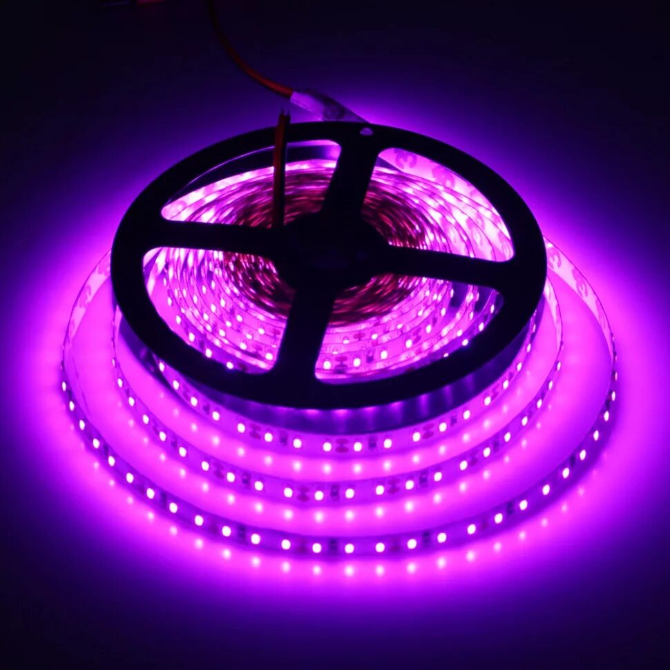 Светящиеся диоды. Лента 2835 60led/m Pink 12v ip33 фиолетовая. Лента светодиодная фиолетовая 12в. Светодиодная лента фиолетовая 12v. Лента светодиодная неоновая (20м белая).