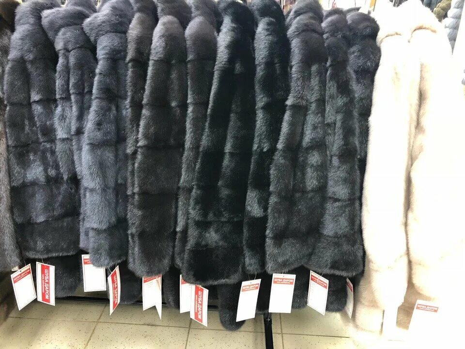 шуба даром йошкар ола. шубы саранск. шубы даром. салон шуб пенза. эко шуба йошкар-ола.