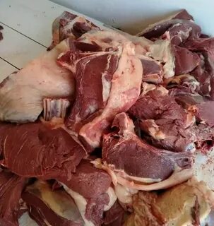 Егде жастағы ер адамдардың жыныстық зорлық-зомбылыққа ұшыраған бейнелері