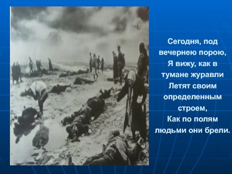 Анализ стихотворения журавли гамзатова 5 класс. Журавли летят своим определенным строем. Летят Журавли над вечным огнем. Солдаты идут в Журавли. Журавли Гамзатова иллюстрации к стихотворению.