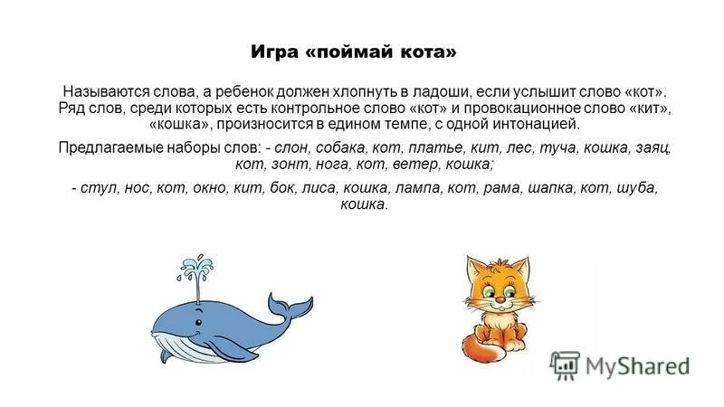 слово о коте