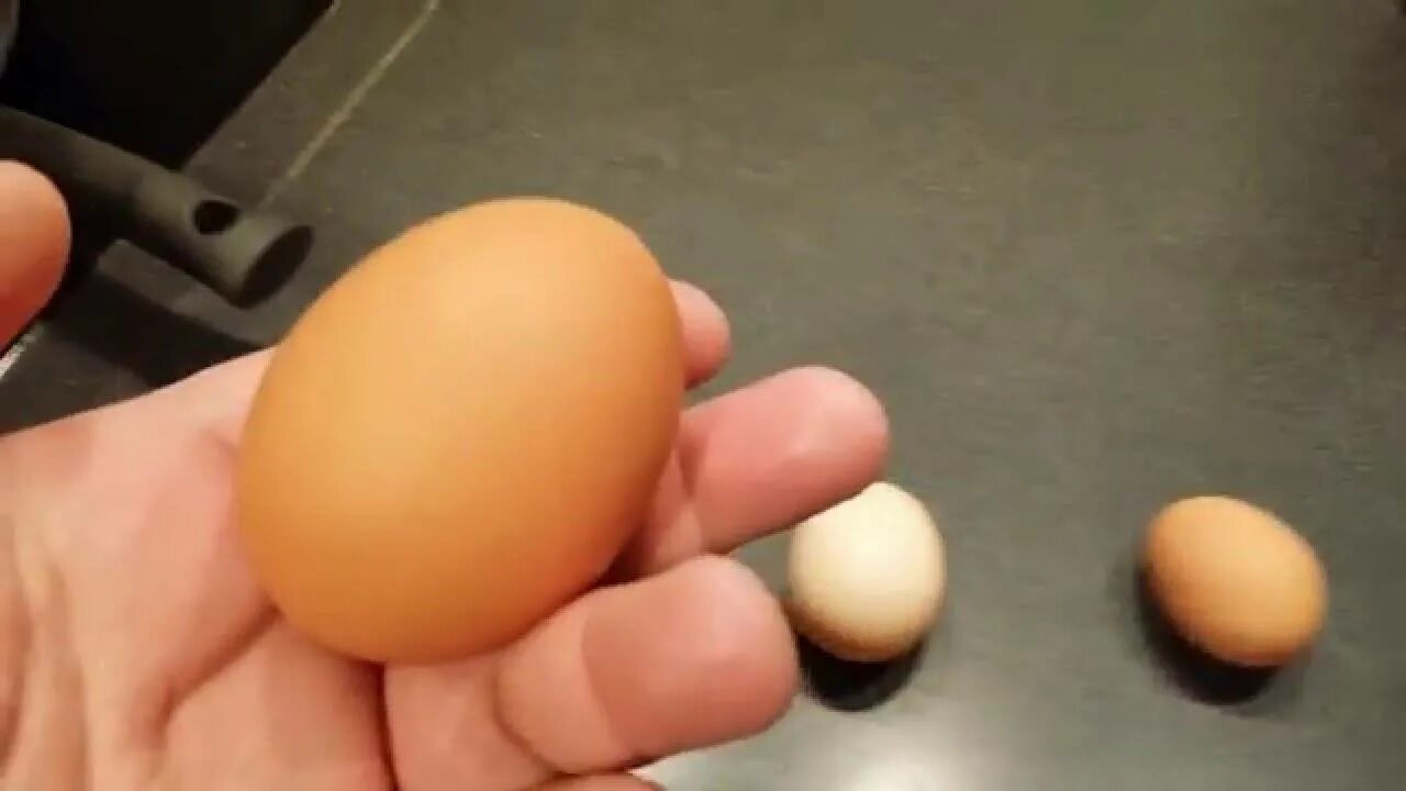 Два желтка примета. 2 Яйца. Двухжелтковые яйца. Крупные яйца у кур. Яйцо в пленке без скорлупы.