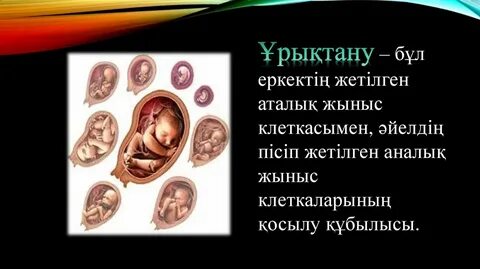 Жыныстық жетілген әйел ана