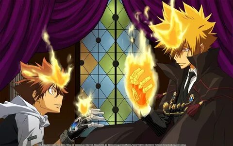 Katekyo hitman reborn