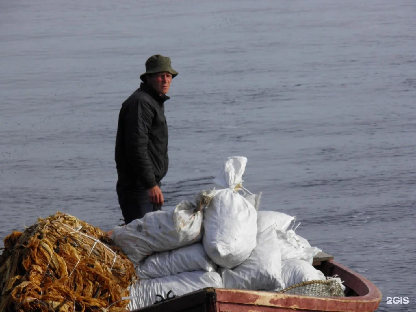 Сайт архангельских водорослей