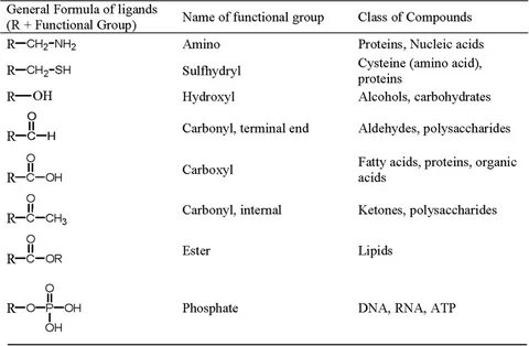 Compounds list