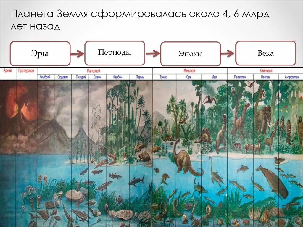 Эры планеты земля. Развитие жизни на земле. Эволюция жизни на земле. Этапы развития жизни на планете. Развитие жизни на земле рисунок.