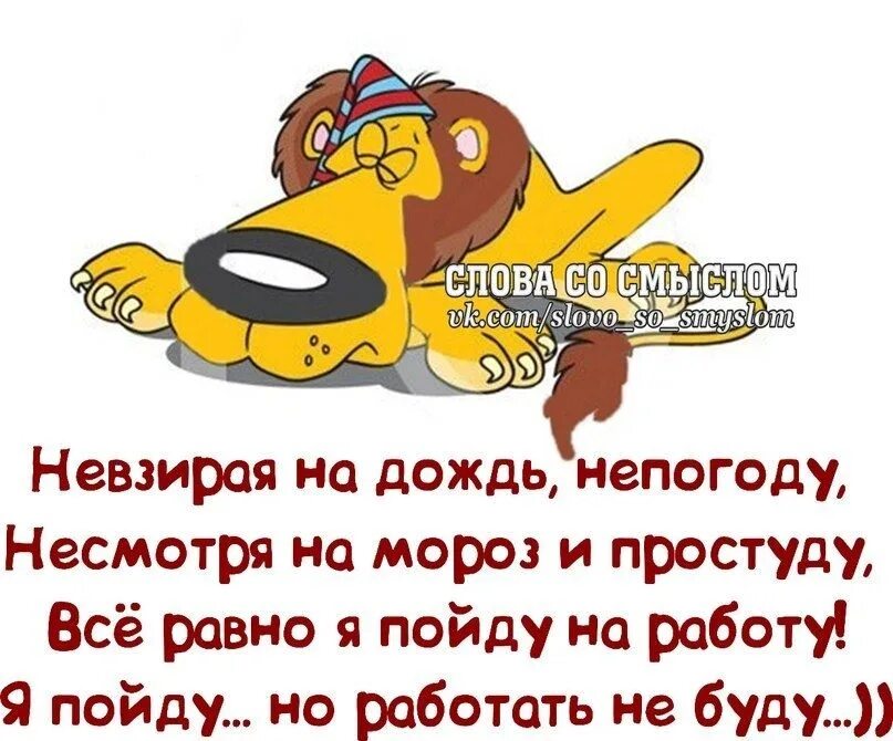 Несмотря на непогоду доброе утро. Доброе утро не смотря НС непоглду. Не смотря на непоноду жоброе уьро. Доброе утро не смоиря на плохую погоду.