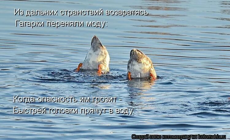 Из дальних странствий возвратясь какой то. Из дальних странствий возвратясь какой то. Вырезки из газет про эльбрус. Бессмертный прикол. Из дальних странствий возвратясь какой то.