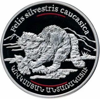 Драм 2006
