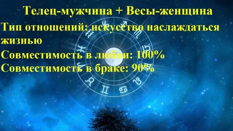 Телец мужчина совместимость. Совместимость женщины тельца и мужчины весы. Мужчина весы и женщина Телец совместимость. Мужчина Телец и женщина весы. Телец и весы совместимость.