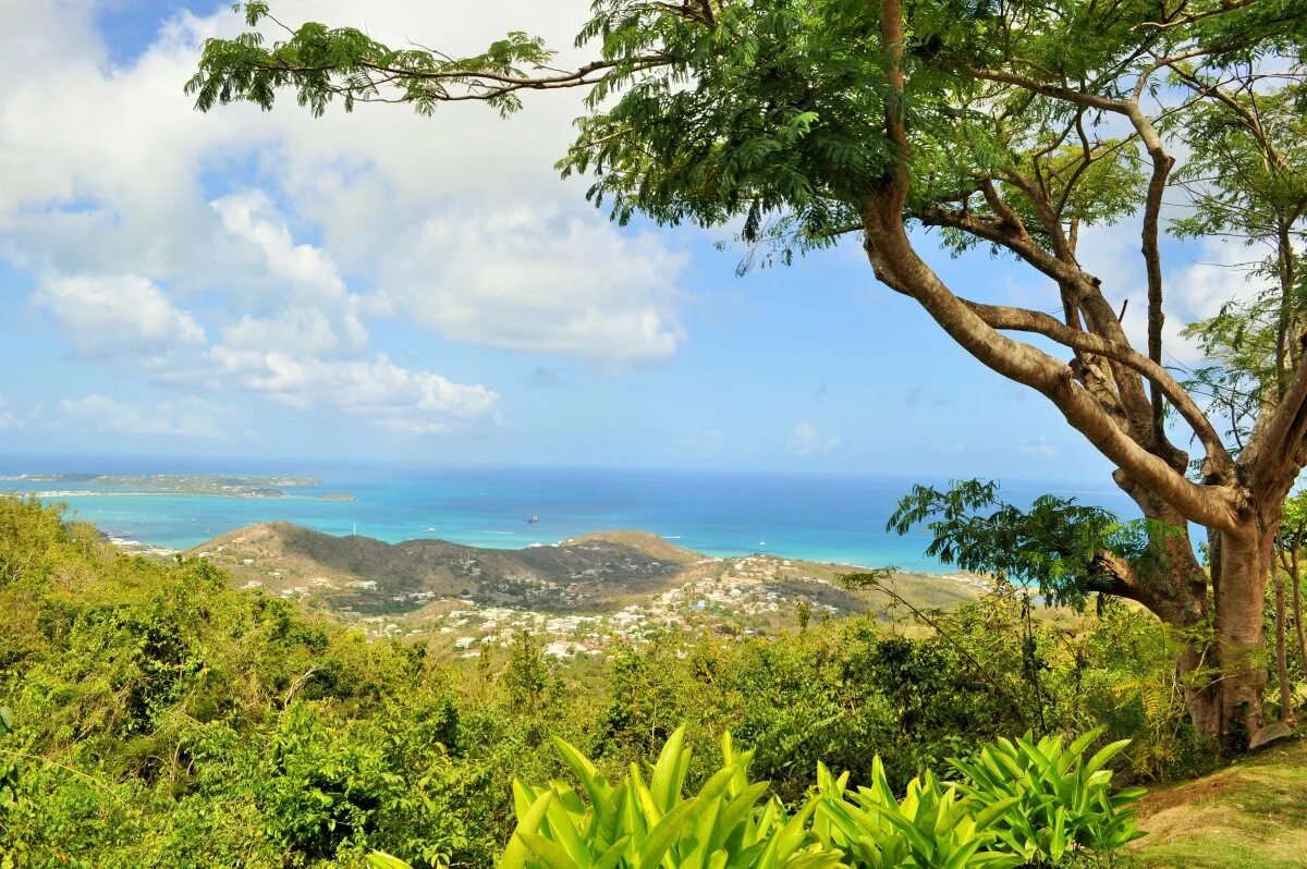 Карибские острова крым. Парадиз остров Карибского моря. Карибы Сельва. Остров Кауаи, Гавайские острова. Панорама тропического леса.