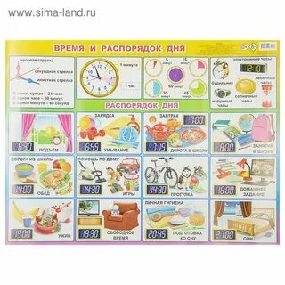 Как оформить режим
