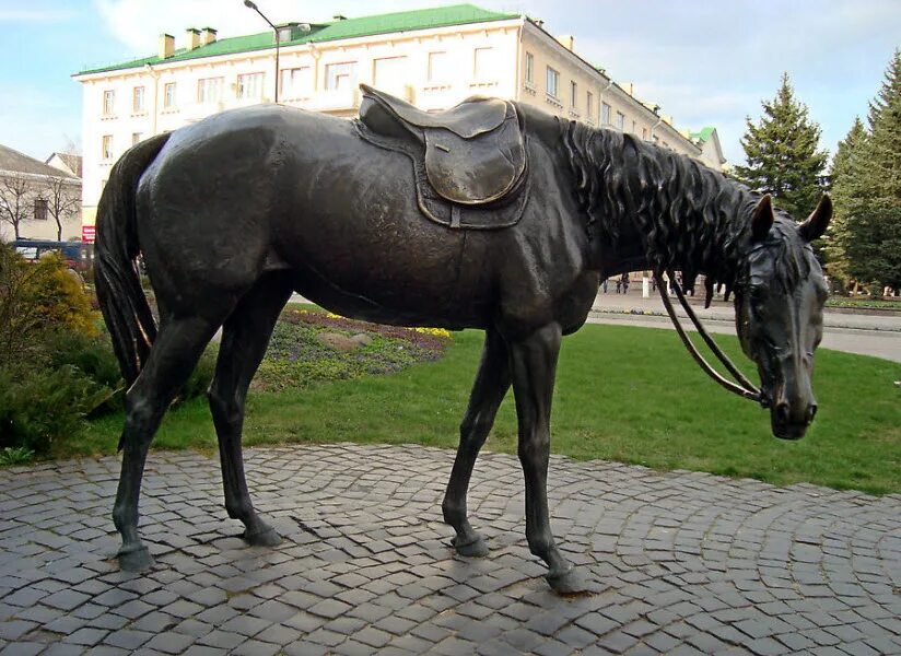 памятники лошадям. памятники и скульптуры лошади. памятники лошадям. сержант реклесс лошадь. памятник лошади в россии.