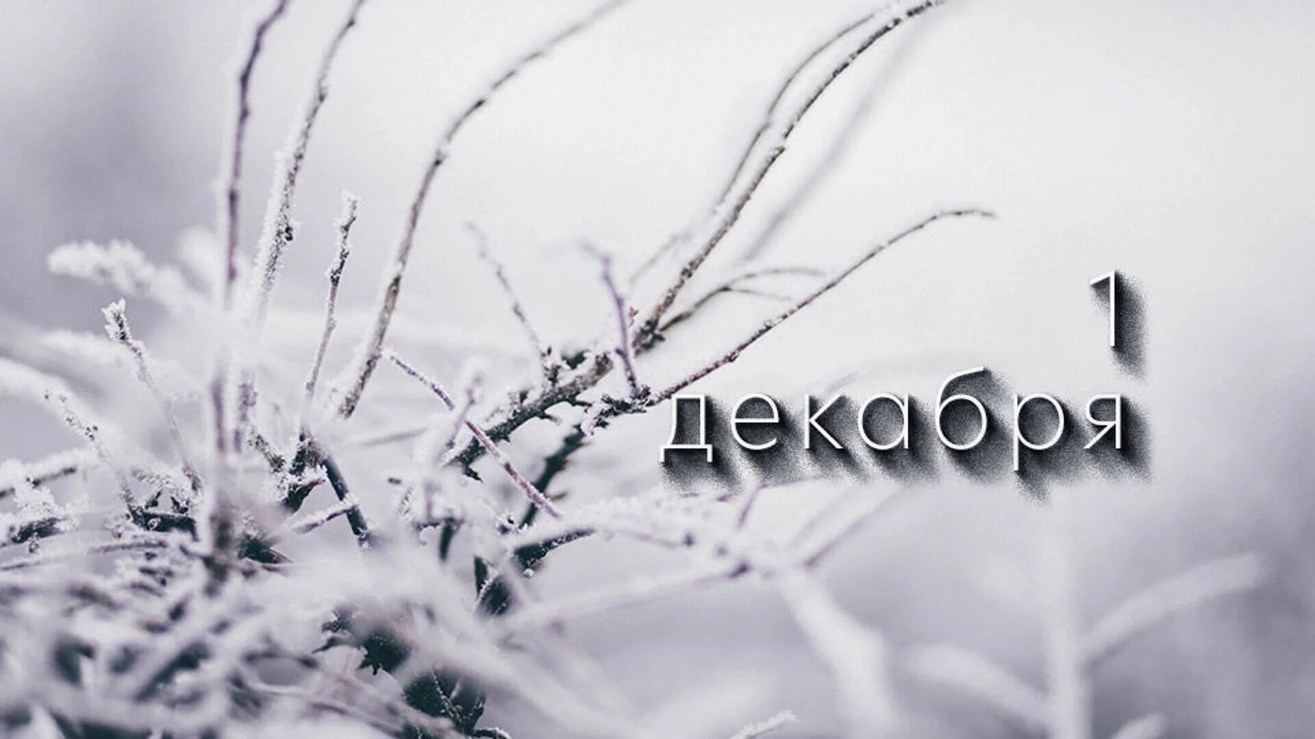 Что происходит 1 декабря. Привет декабрь картинка с надписью. декабрь. 1 декабря.