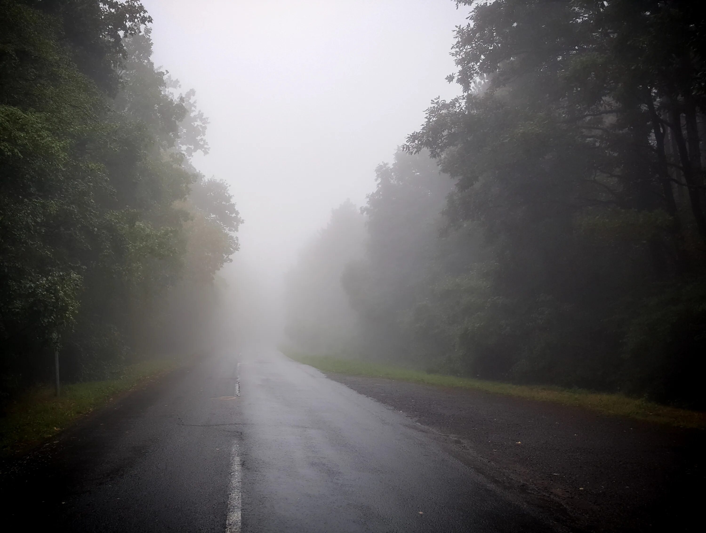 Туман без дождя. Дорога в тумане. Дорога пасмурно. Дождь и туман. Горная дорога в тумане.