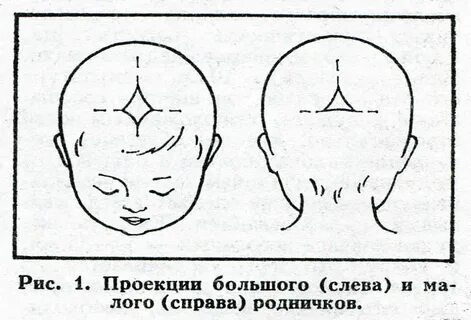 Темечко грудничка