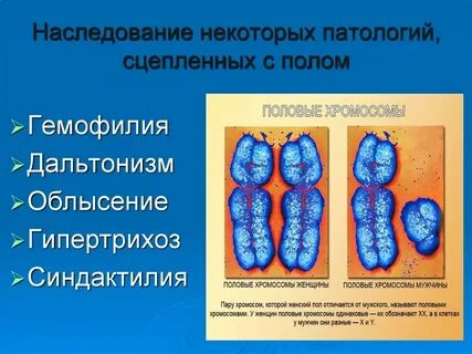 Сцепления гена с полом