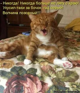 Не многим все таки