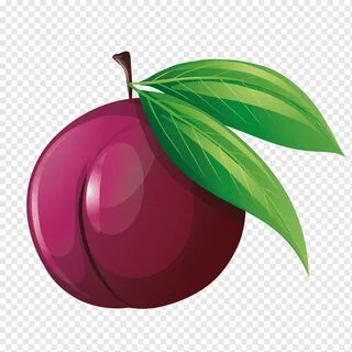 Картинка слива для детей